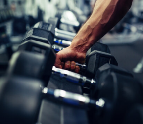 Premium Gym Equipment Exporter in India